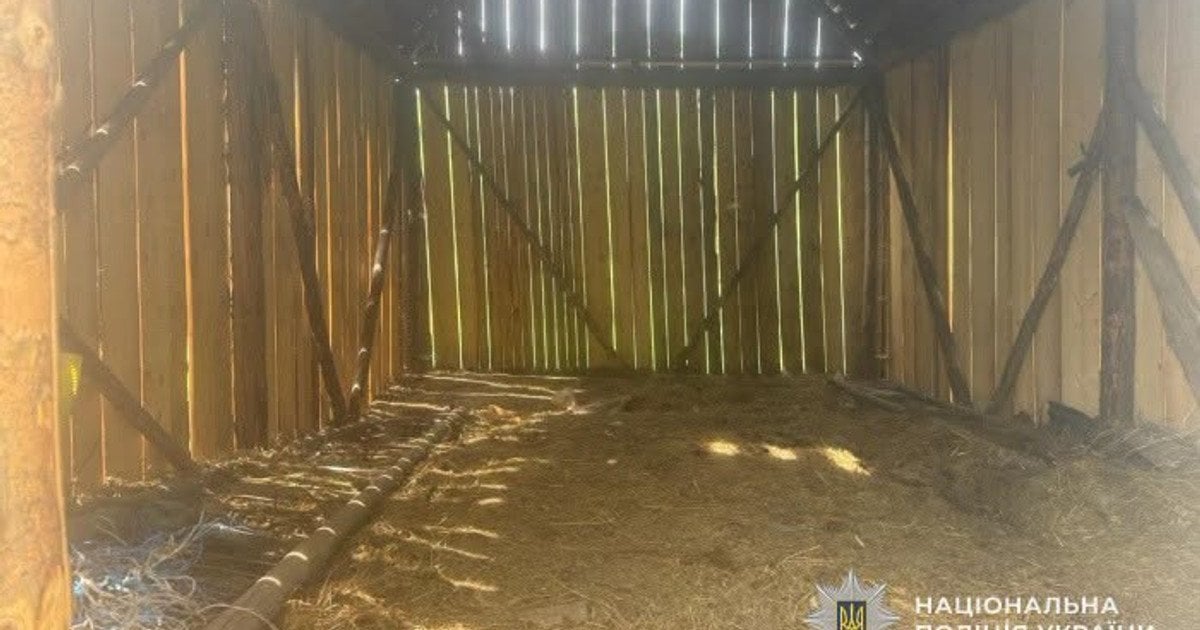 Заманил в здание и изнасиловал 13-летнюю девочку: на Львовщине задержали мужчину